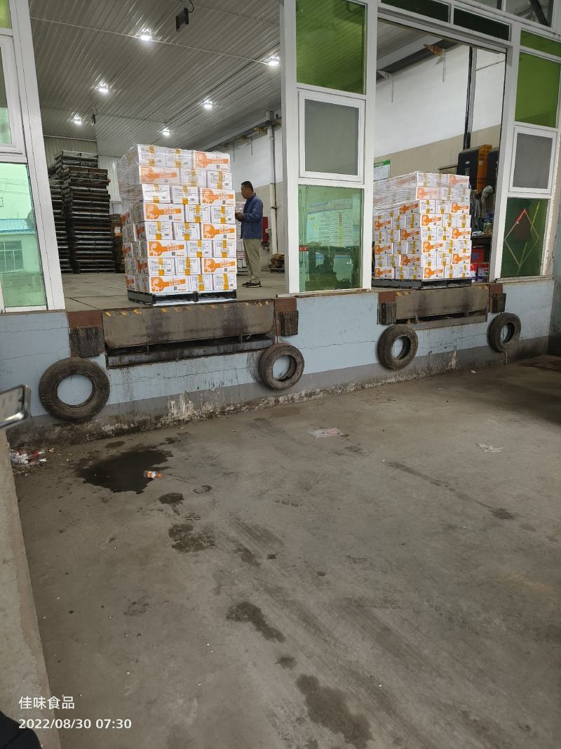 山东鸡副产品A级鸡翅根电商国产鸡翅原料冷冻食品量大从优