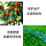 75%百菌清杀菌剂霜霉病叶斑病炭疽病疫病果树蔬菜农药