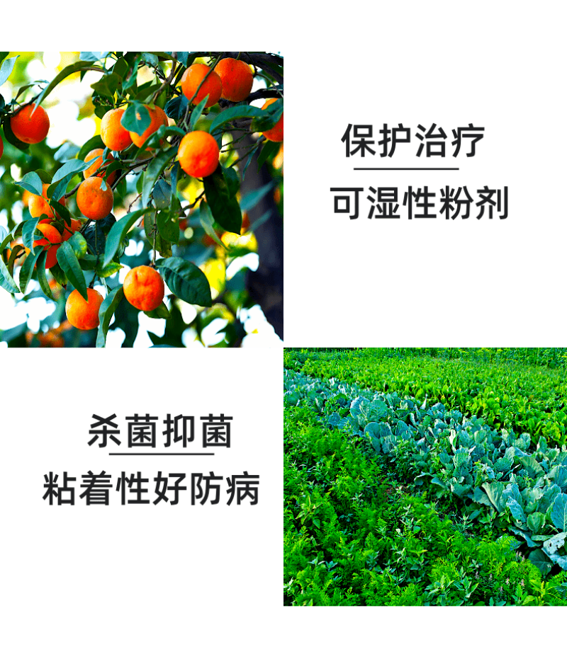 75%百菌清杀菌剂霜霉病叶斑病炭疽病疫病果树蔬菜农药