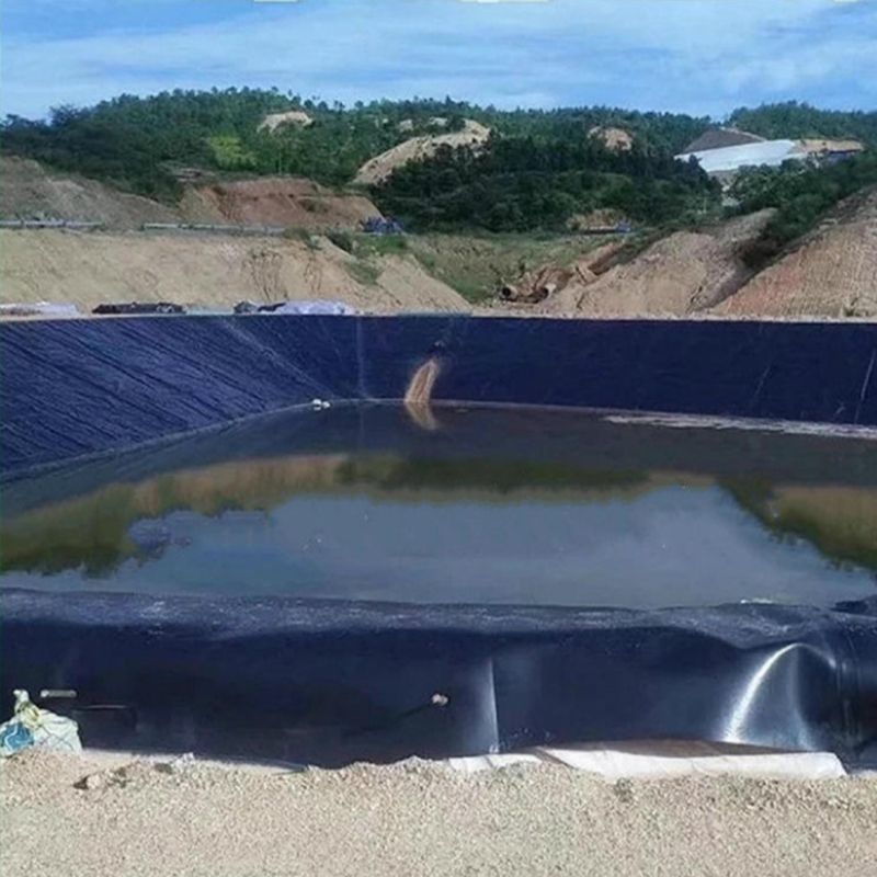 防渗膜土工膜水蛭土工膜鱼塘土工膜鱼塘防渗