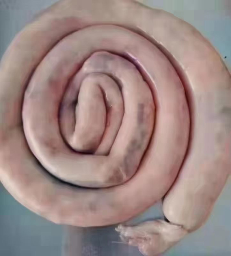 羊腿羊杂羊肉肠羊肚包肉羊心羊肺羊头肉工厂批发
