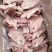 羊腿羊杂羊肉肠羊肚包肉羊心羊肺羊头肉工厂批发