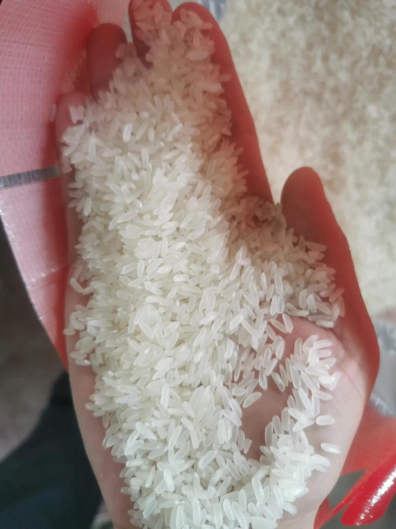 【推荐】精品大米长粒大米口感好货源充足质量保证