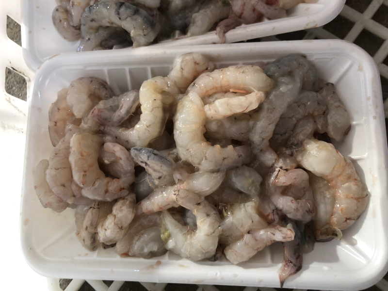 海虾