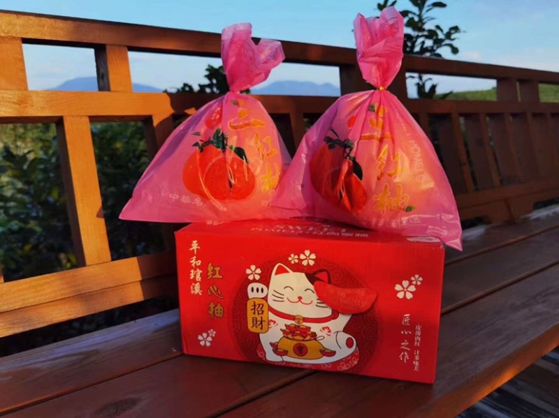三红柚批发