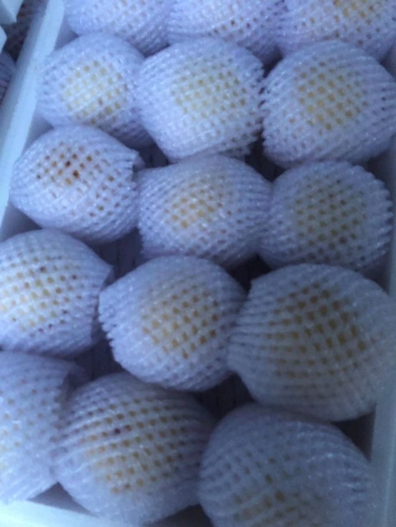 物美价廉