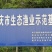 【热卖】武昌鱼苗，基地孵化，渔场发货，包成活提供技术指导