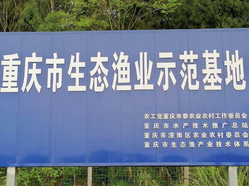【热卖】武昌鱼苗，基地孵化，渔场发货，包成活提供技术指导