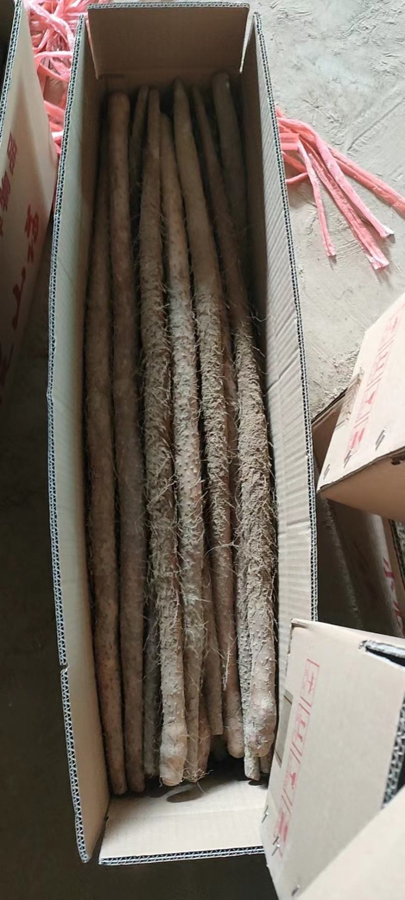 垆土地铁棍山药，山药，欢迎新老客户前来，超市电商。