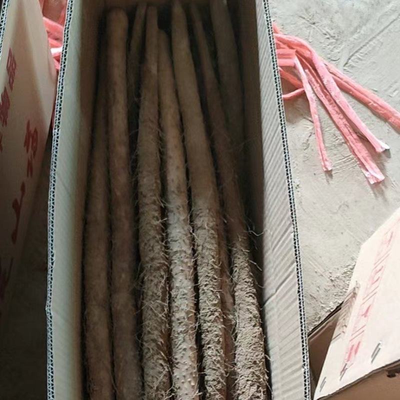 垆土地铁棍山药，山药，欢迎新老客户前来，超市电商。