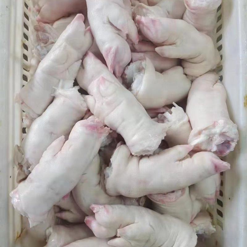 带筋前蹄（可订大小）/混合猪蹄