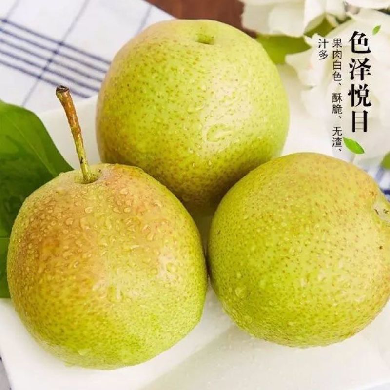 山西临猗玉露香梨大量上市，货源充足，产地直供对接市场平台