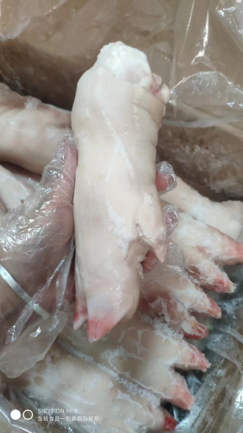带筋前蹄（可订大小）/混合猪蹄