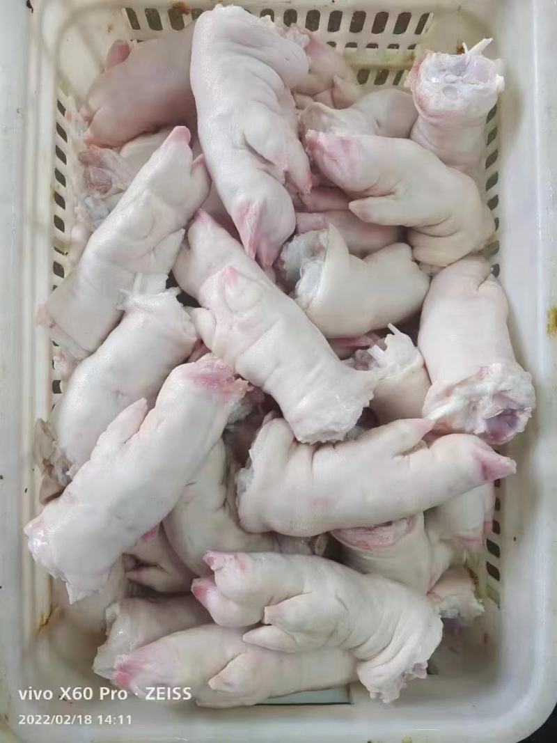 带筋前蹄（可订大小）/混合猪蹄
