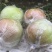 玉露香科学种植基地