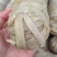 A级苦肠（小肠卷）