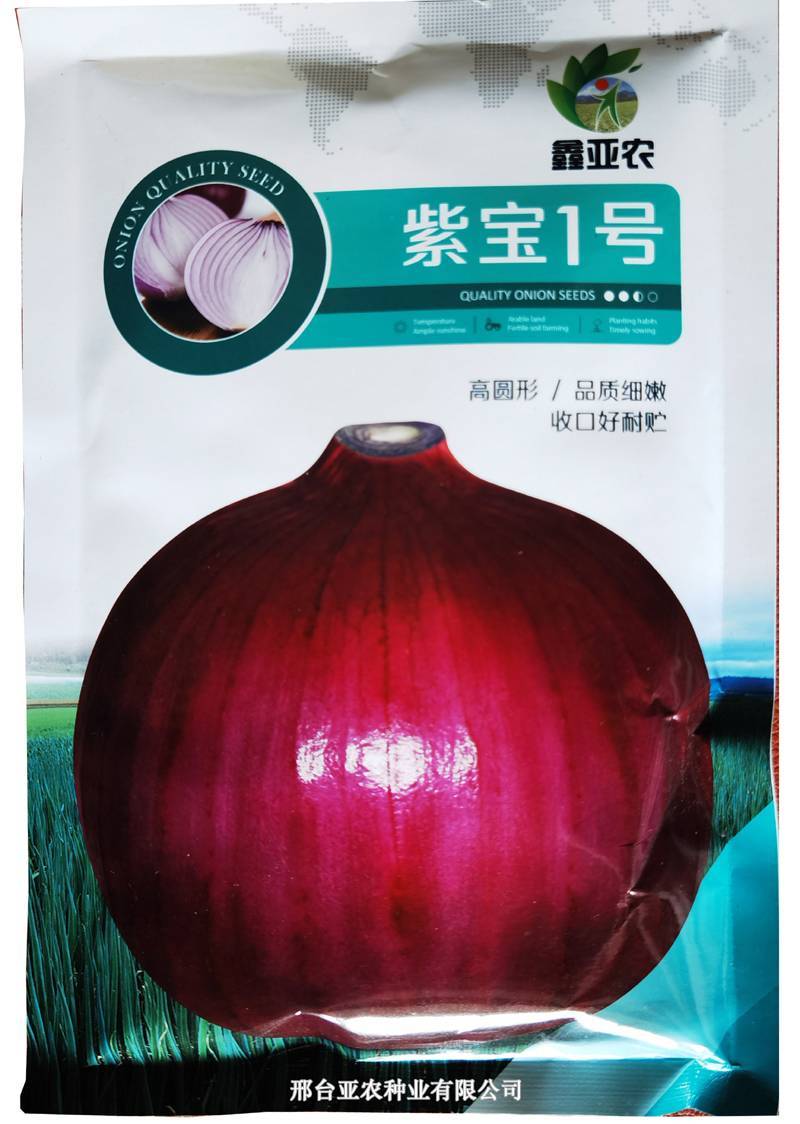 紫宝1号红皮洋葱圆葱种子一袋200克包邮