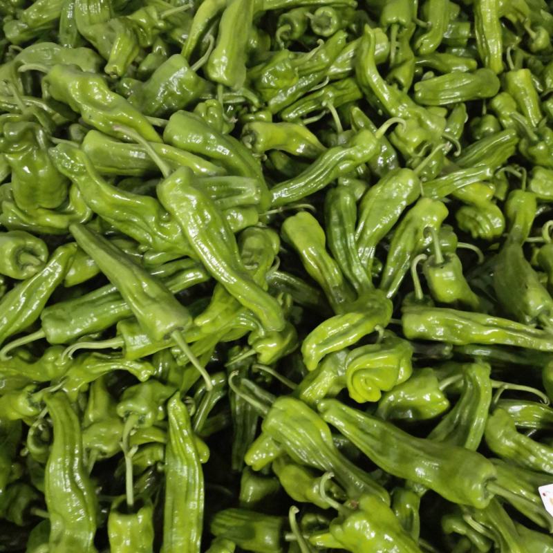《上新》高山新鲜芜湖椒，大青椒个头大品质好，量大