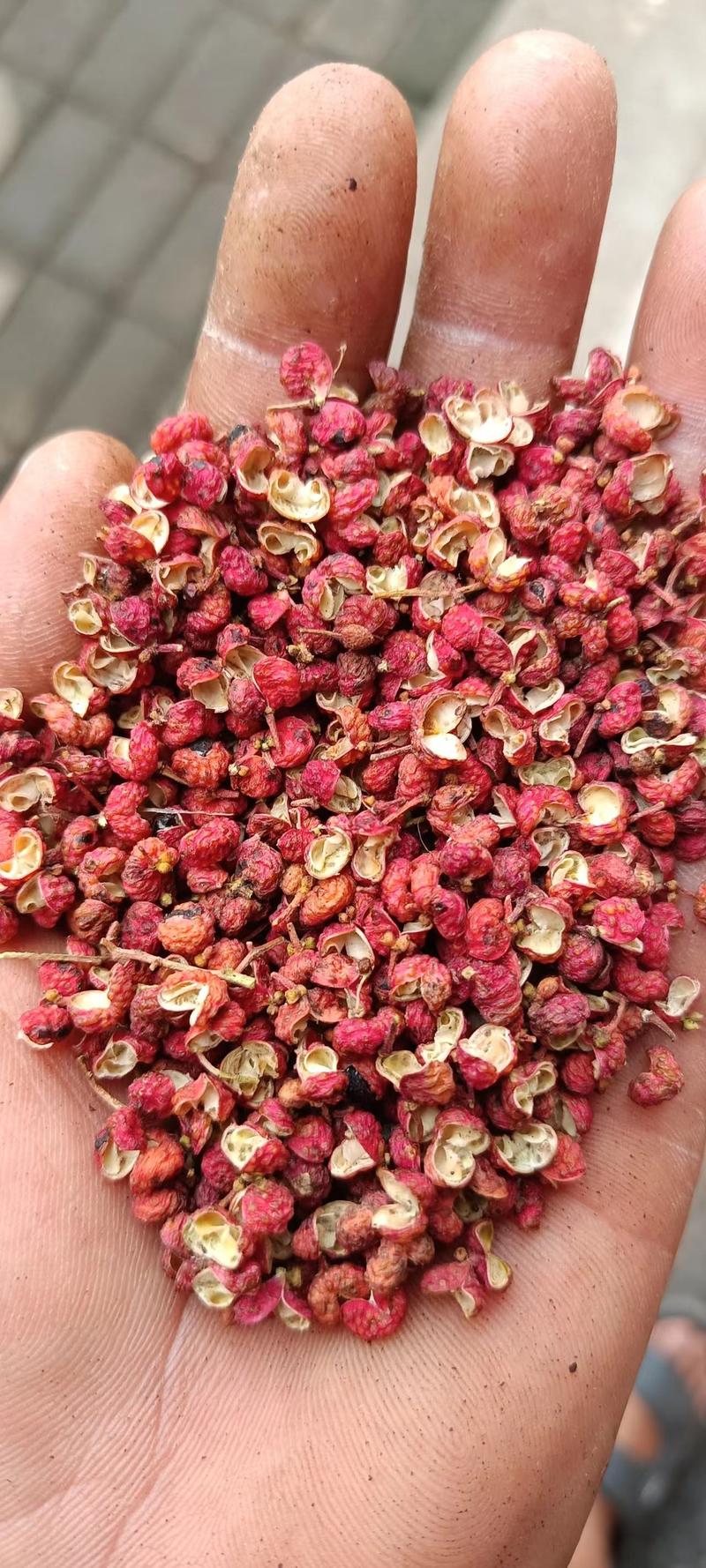 洛阳大红袍花椒，毛货，颗粒，梅花椒，椒籽都有规格多价格低
