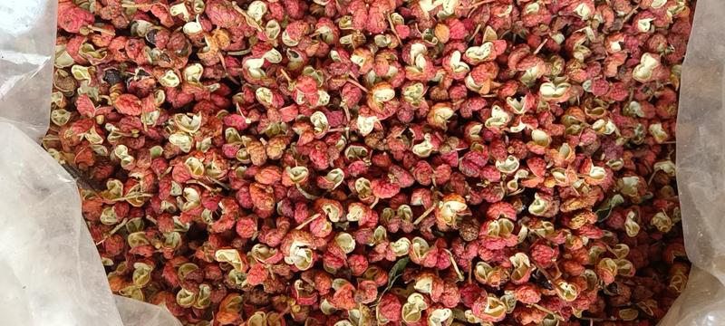 洛阳大红袍花椒，毛货，颗粒，梅花椒，椒籽都有规格多价格低