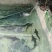 鲟龙鱼自古寓意，年年有余，福气满满，生长环境对水质十分高