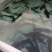 鲟龙鱼自古寓意，年年有余，福气满满，生长环境对水质十分高