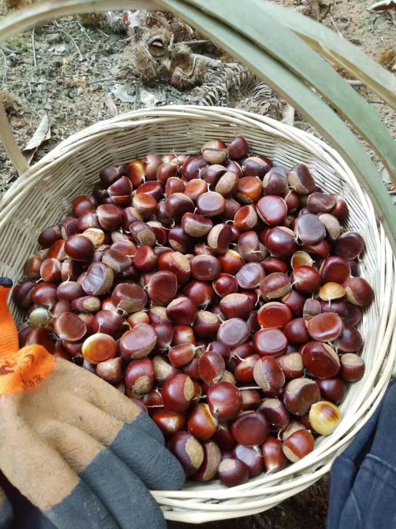 合适就来
