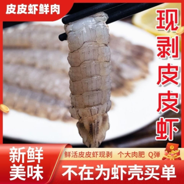 皮皮虾肉纯手工剥壳现剥现发新鲜速冻饺子馅肉虾婆肉包子馅料