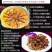皮皮虾肉纯手工剥壳现剥现发新鲜速冻饺子馅肉虾婆肉包子馅料