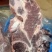 牛脖骨/多肉牛脖骨