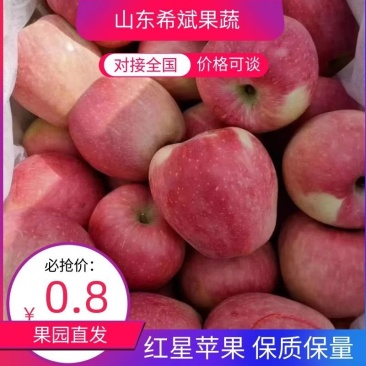 【红星】山东红星苹果货源充足，中秋礼品商超品质价格便宜