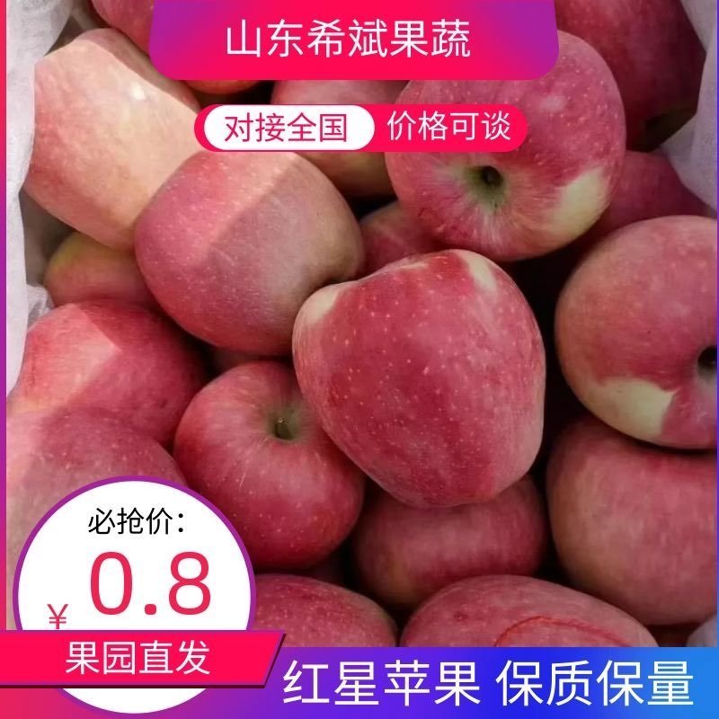 【红星】山东红星苹果货源充足，中秋礼品商超品质价格便宜