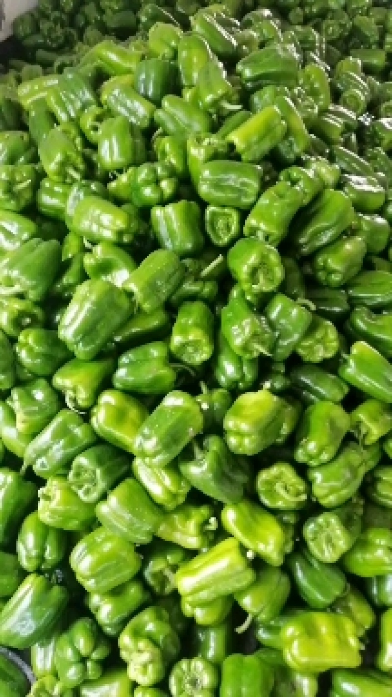 小流村，疏菜大量上市