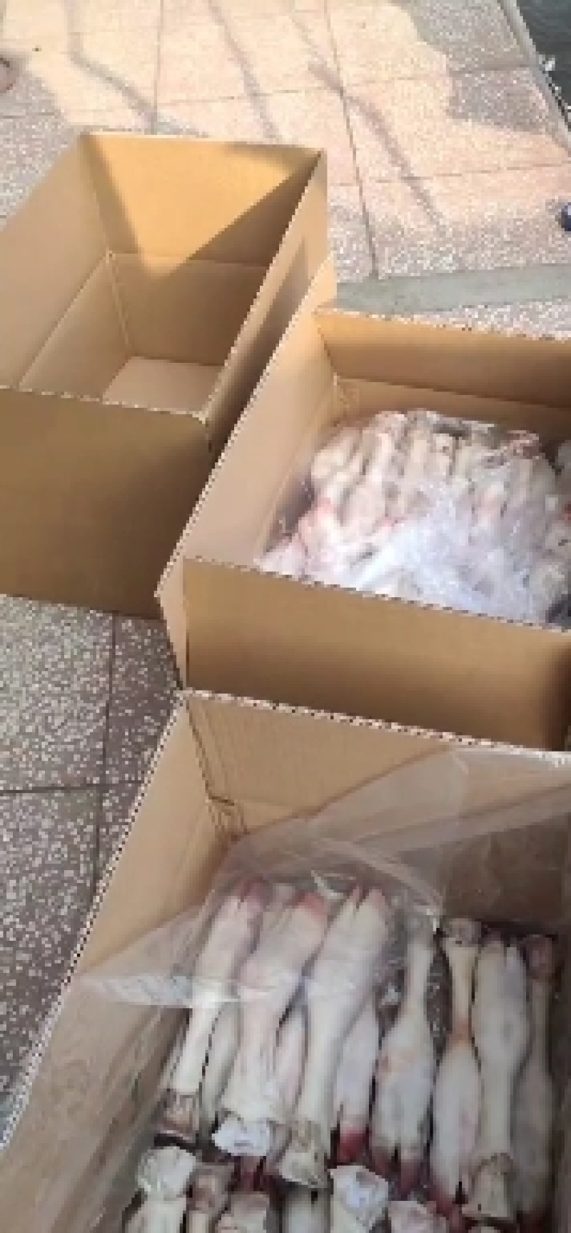 小牛蹄