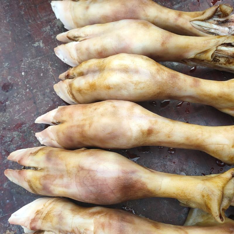 小牛蹄