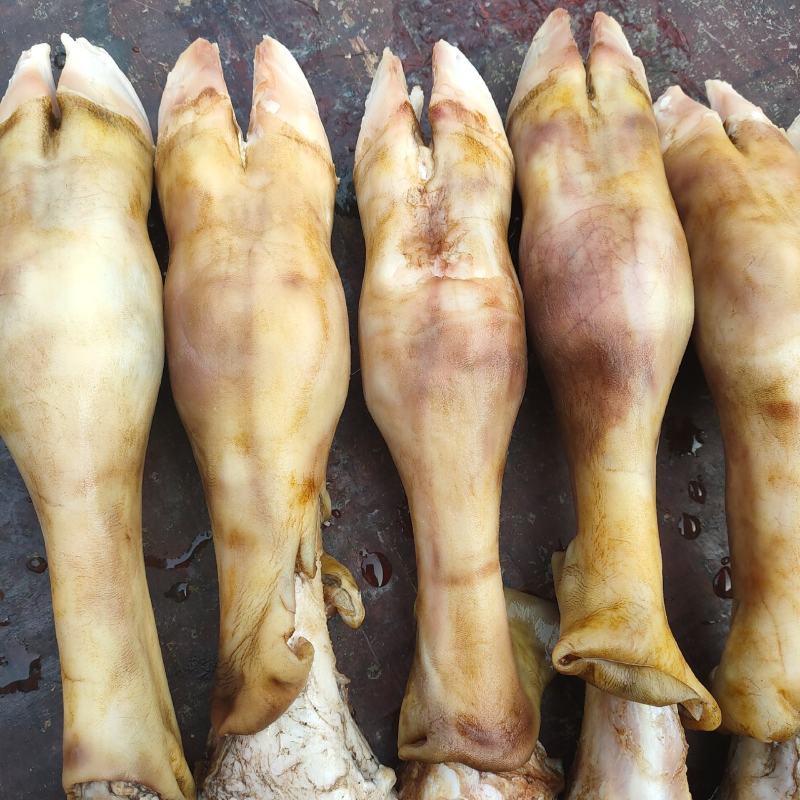 小牛蹄