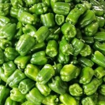 小流村，疏菜大量上市