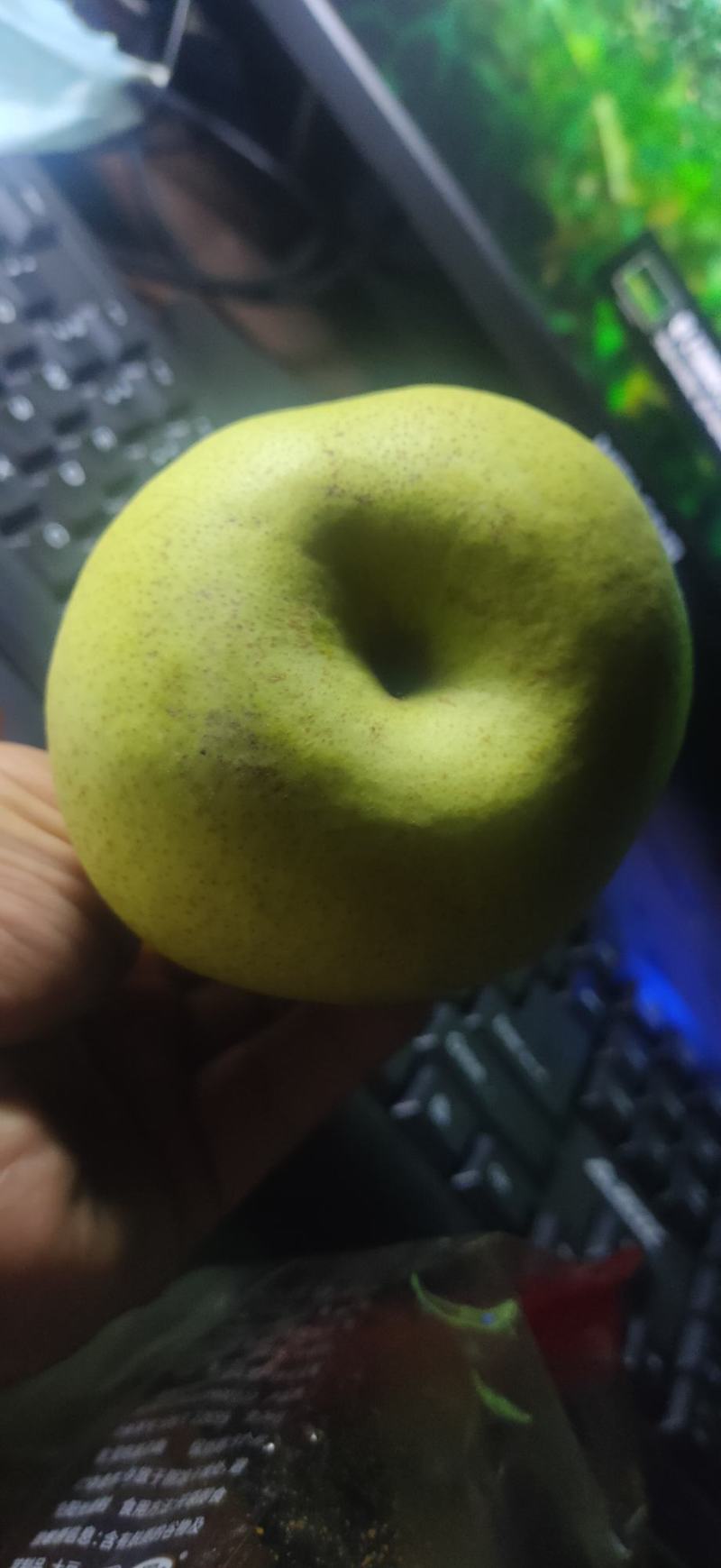 梨酥梨正宗安徽砀山酥梨大量出售大量现货