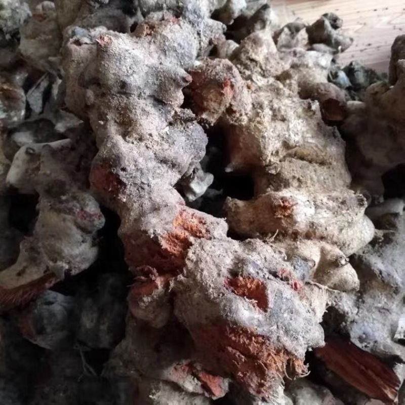 中药材菝葜粉现磨现卖金刚刺粉天然无硫金刚藤粉菝葜根粉批发