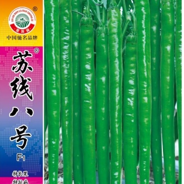 苏线八号线椒种子，1000粒