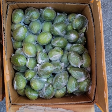 广东香水柠檬一级果