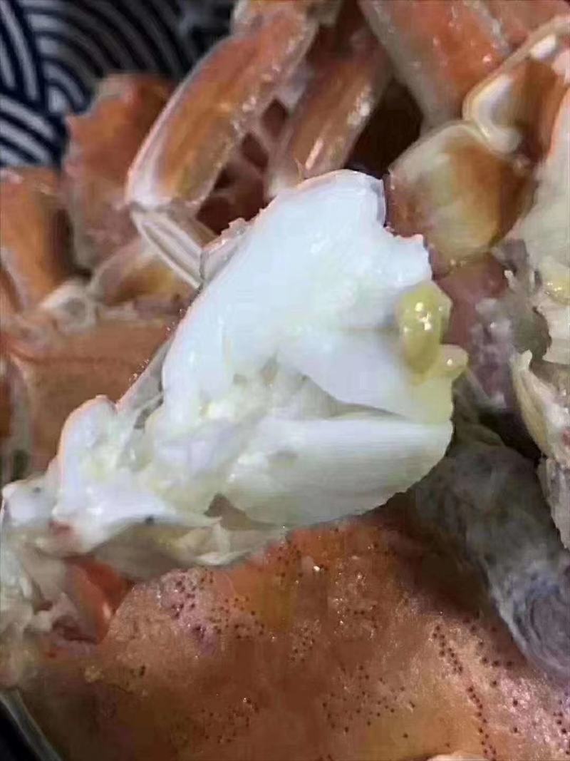 扁蟹肉蟹蟹肉饱满口感细腻产地发货质量保证