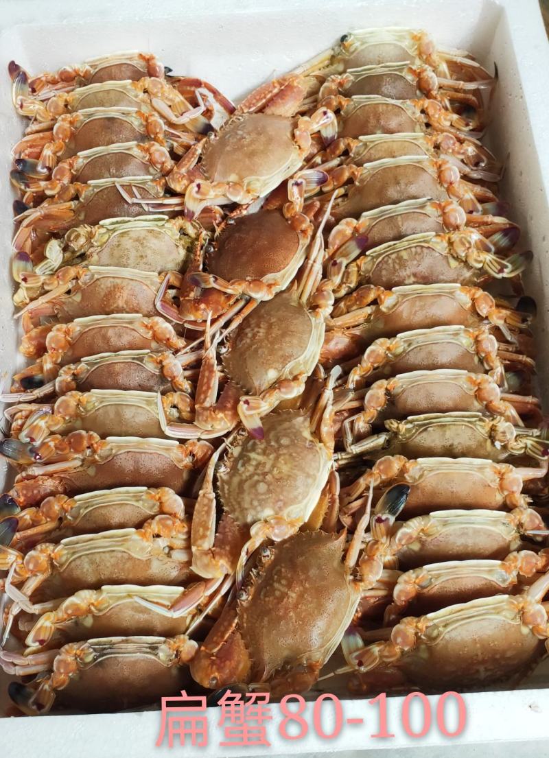 扁蟹肉蟹蟹肉饱满口感细腻产地发货质量保证
