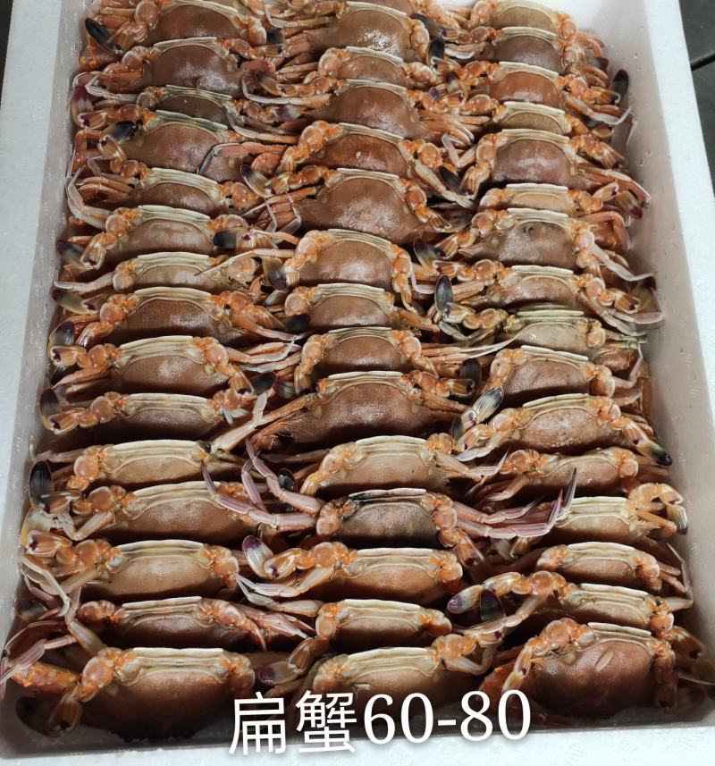 扁蟹肉蟹蟹肉饱满口感细腻产地发货质量保证