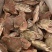 扁蟹肉蟹蟹肉饱满口感细腻产地发货质量保证