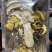 云南特产，七彩八珍菌菇汤料包，干货煲汤食材100克