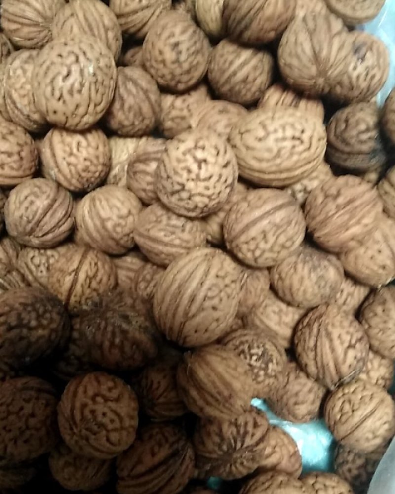 看桃核