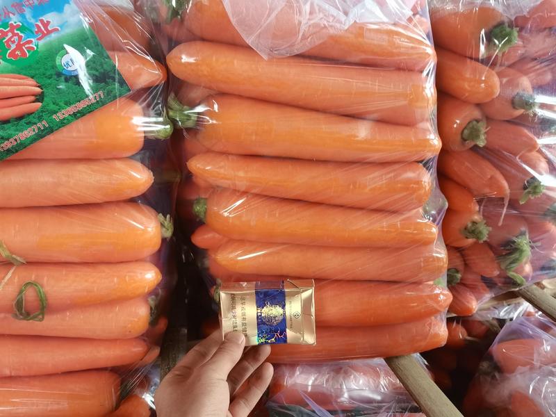 三红胡萝卜上货中产地加工提供冷库，专业对接商超市场！