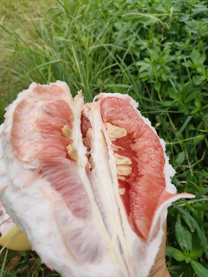 （精品）广西三红蜜柚现货批发，甜度高，量大优惠