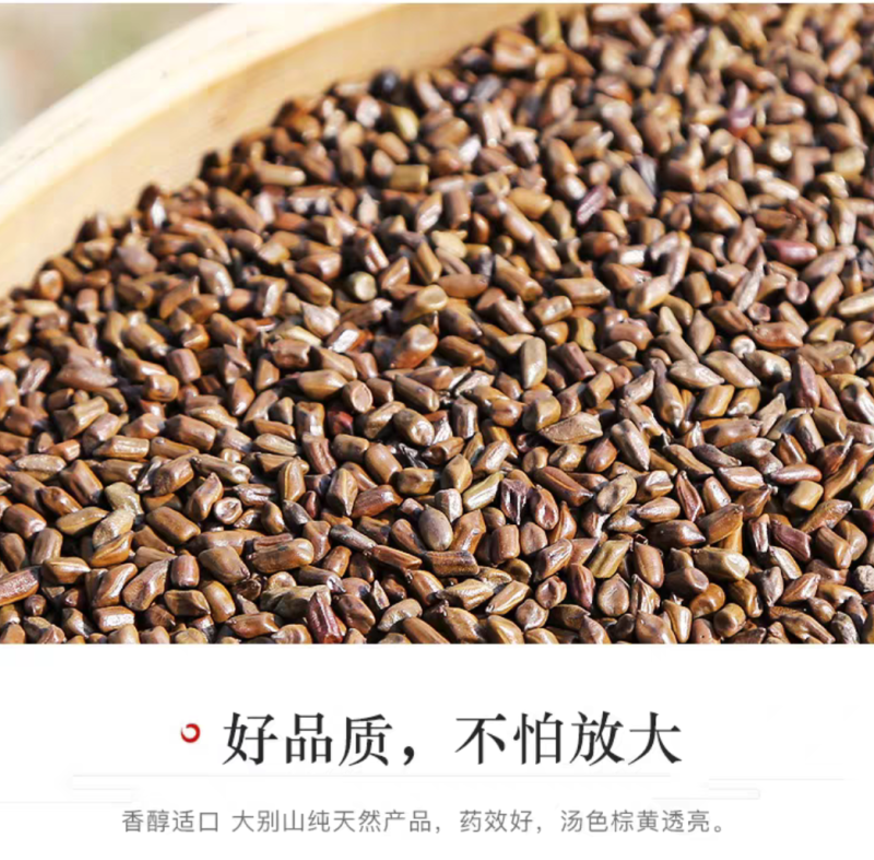 决明子精选决明子生决明子炒决明子规格齐全量大从优